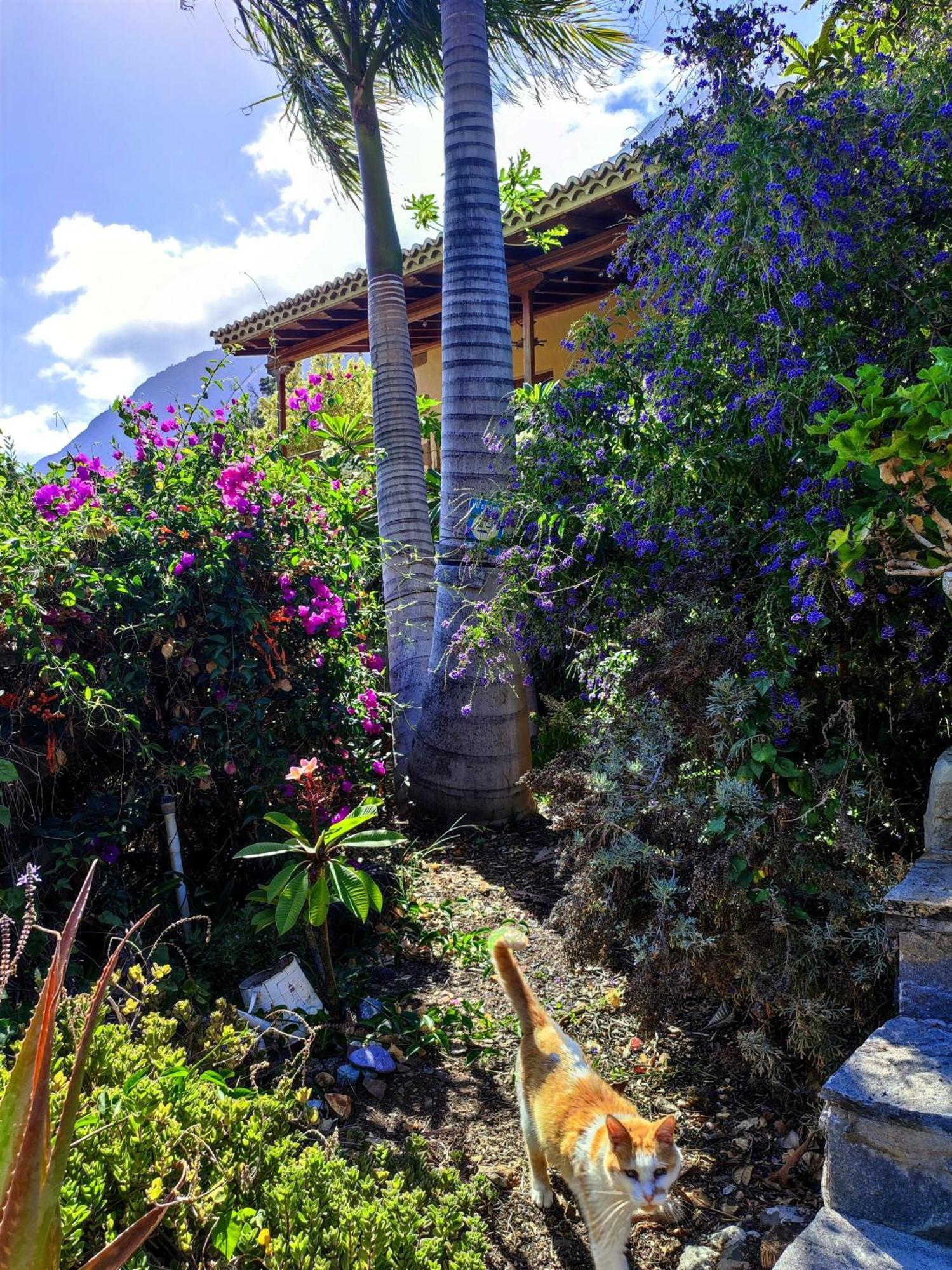 The Cradle Of The Moon, Rivendell Hotel เอลปาโซ ภายนอก รูปภาพ